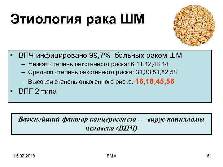 Этиология рака ШМ • ВПЧ инфицировано 99, 7% больных раком ШМ – Низкая степень