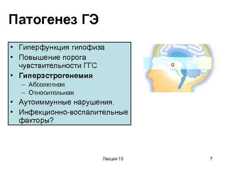 Патогенез ГЭ • Гиперфункция гипофиза • Повышение порога чувствительности ГГС • Гиперэстрогенемия – Абсолютная