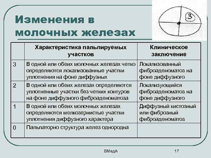 Изменения в молочных железах Характеристика пальпируемых участков Клиническое заключение 3 В одной или обеих
