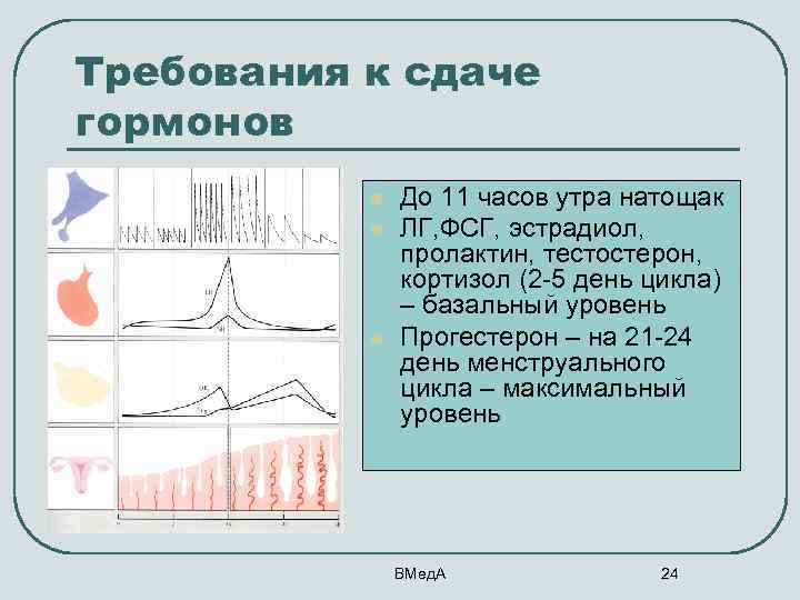 Требования к сдаче гормонов l l l До 11 часов утра натощак ЛГ, ФСГ,