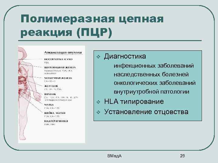 Полимеразная цепная реакция (ПЦР) v v v Диагностика • • инфекционных заболеваний наследственных болезней