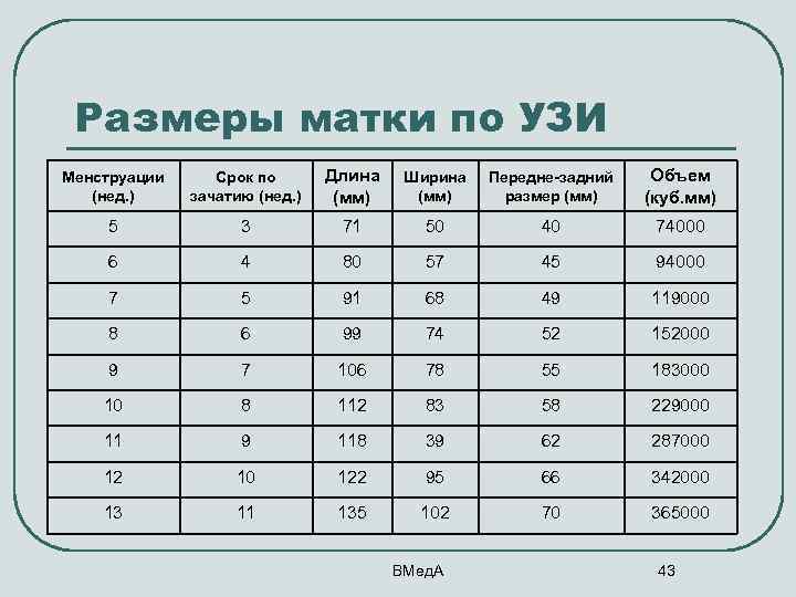 Размеры матки по УЗИ Менструации (нед. ) Срок по зачатию (нед. ) Длина (мм)