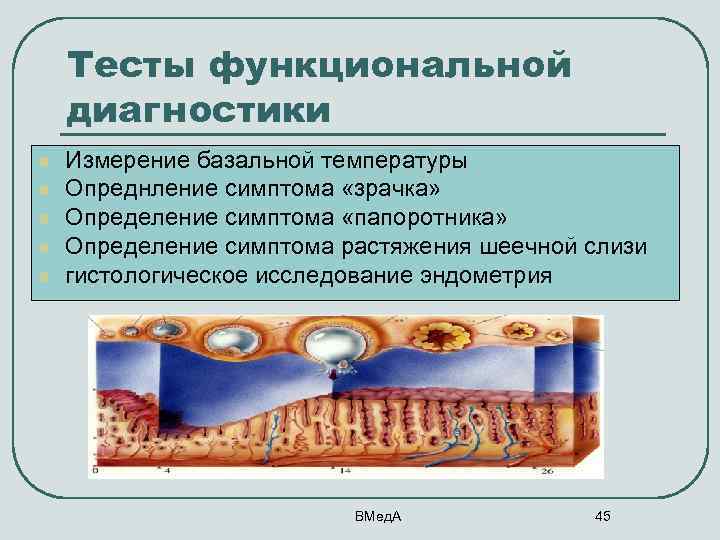 Тесты функциональной диагностики l l l Измерение базальной температуры Опреднление симптома «зрачка» Определение симптома