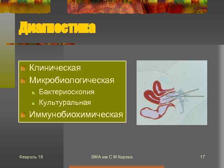 Диагностика Клиническая Микробиологическая Бактериоскопия Культуральная Иммунобиохимическая Февраль 18 ВМА им. С. М. Кирова 17