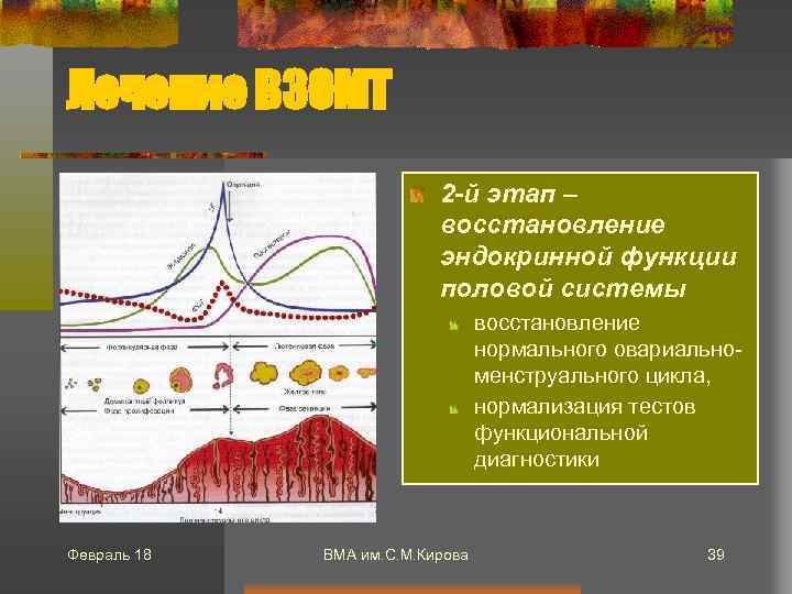 Лечение ВЗОМТ 2 -й этап – восстановление эндокринной функции половой системы восстановление нормального овариальноменструального
