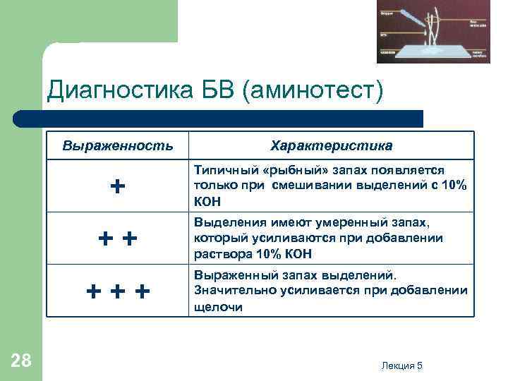 Диагностика БВ (аминотест) Выраженность Характеристика + Типичный «рыбный» запах появляется только при смешивании выделений