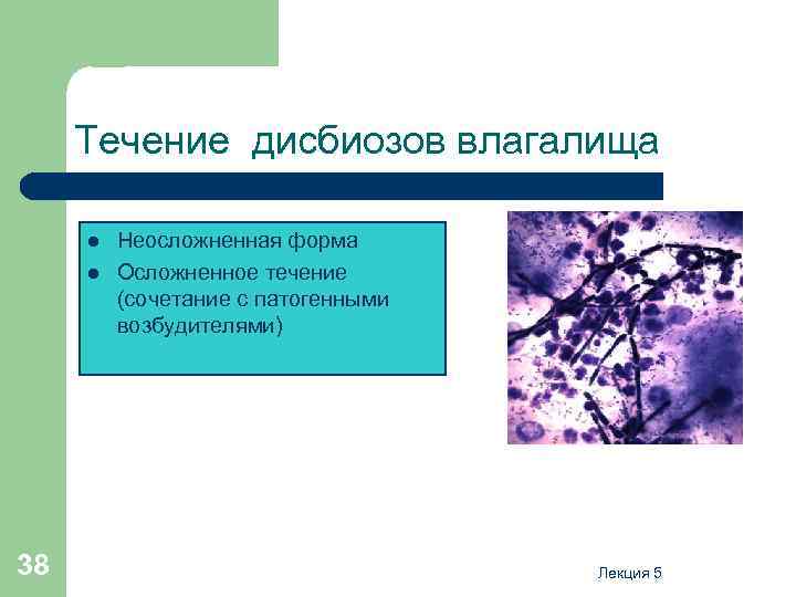 Течение дисбиозов влагалища l l 38 Неосложненная форма Осложненное течение (сочетание с патогенными возбудителями)