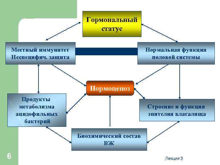 Гормональный статус Местный иммунитет Неспецифич. защита Нормальная функция половой системы Нормоценоз Продукты метаболизма ацидофильных