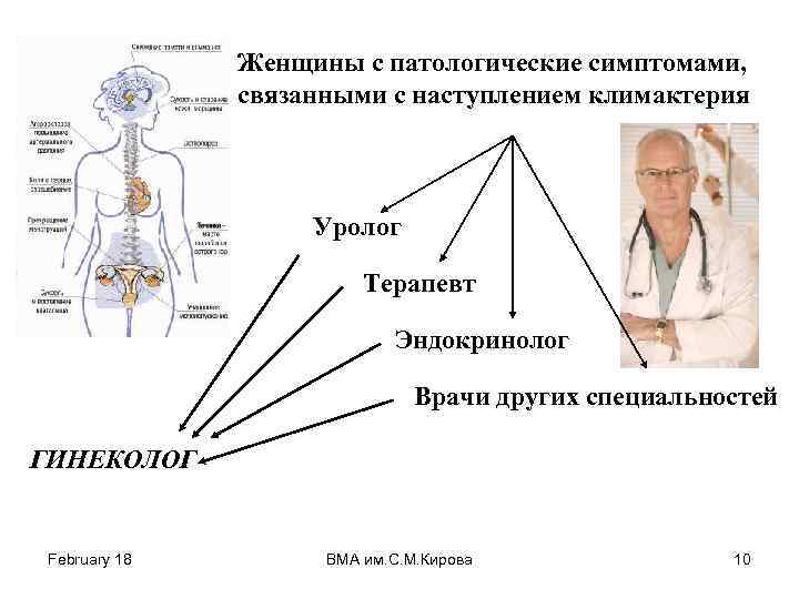 Женщины с патологические симптомами, связанными с наступлением климактерия Уролог Терапевт Эндокринолог Врачи других специальностей