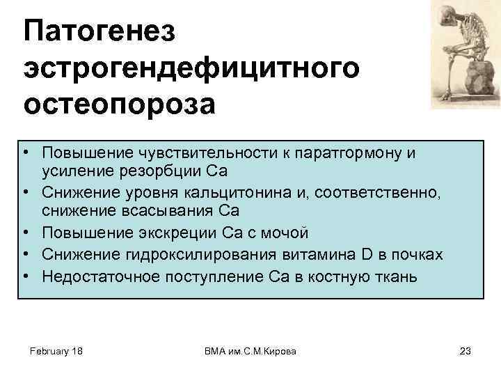 Патогенез эстрогендефицитного остеопороза • Повышение чувствительности к паратгормону и усиление резорбции Са • Снижение