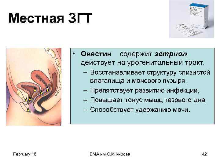 Местная ЗГТ • Овестин содержит эстриол, действует на урогенитальный тракт. – Восстанавливает структуру слизистой