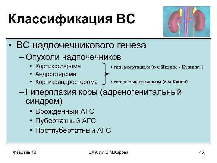 Классификация ВС • ВС надпочечникового генеза – Опухоли надпочечников • Кортикостерома • Андростерома •