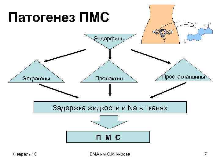 Патогенез ПМС Эндорфины Эстрогены Пролактин Простагландины Задержка жидкости и Na в тканях П М