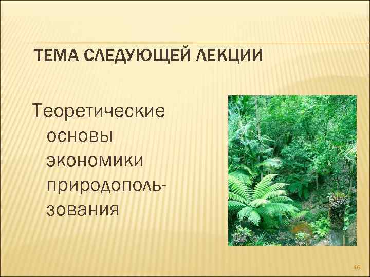 ТЕМА СЛЕДУЮЩЕЙ ЛЕКЦИИ Теоретические основы экономики природопользования 46 