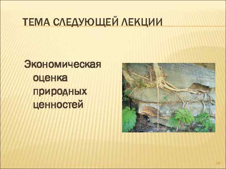 ТЕМА СЛЕДУЮЩЕЙ ЛЕКЦИИ Экономическая оценка природных ценностей 26 