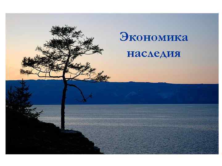 Экономика наследия 