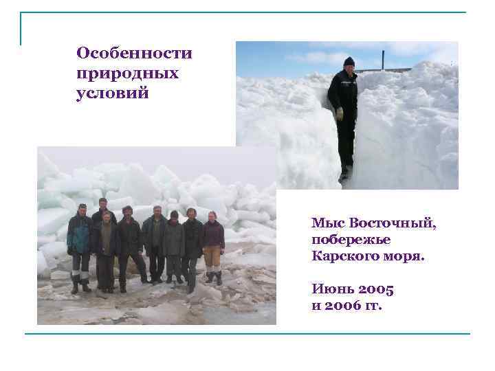 Особенности природных условий Мыс Восточный, побережье Карского моря. Июнь 2005 и 2006 гг. 
