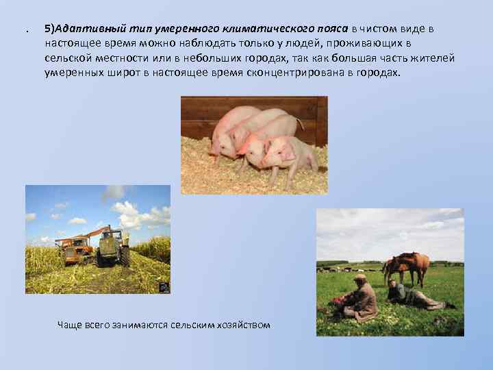 . 5)Адаптивный тип умеренного климатического пояса в чистом виде в настоящее время можно наблюдать