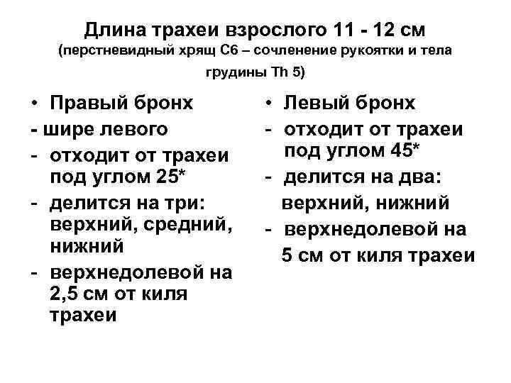 Длина трахеи взрослого 11 - 12 см (перстневидный хрящ С 6 – сочленение рукоятки