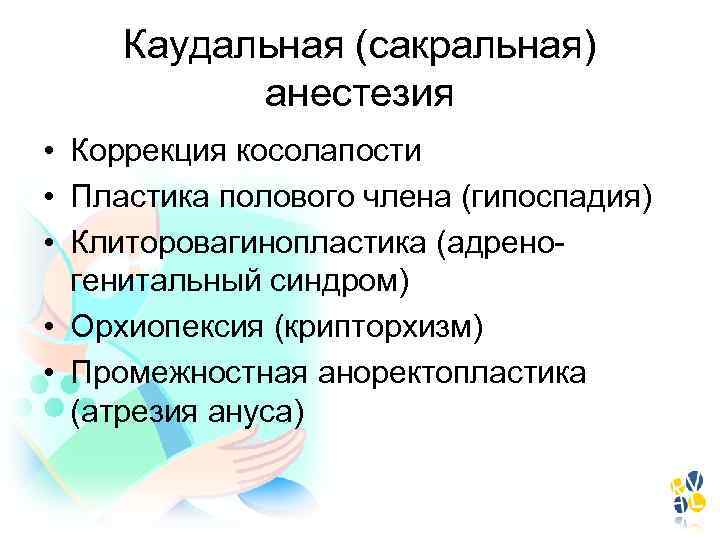 Каудальная (сакральная) анестезия • Коррекция косолапости • Пластика полового члена (гипоспадия) • Клиторовагинопластика (адреногенитальный