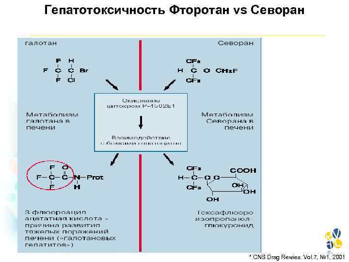 Гепатотоксичность Фторотан vs Севоран * CNS Drag Rewies. Vol. 7, № 1, 2001 