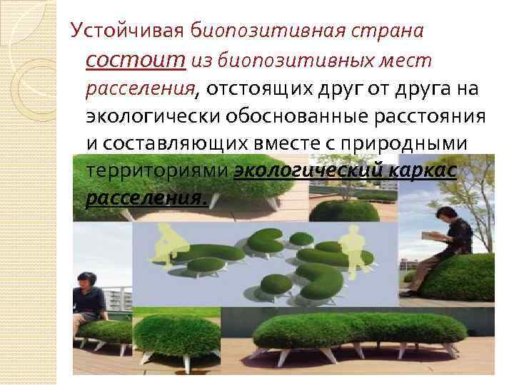 Устойчивая биопозитивная страна состоит из биопозитивных мест расселения, отстоящих друг от друга на экологически