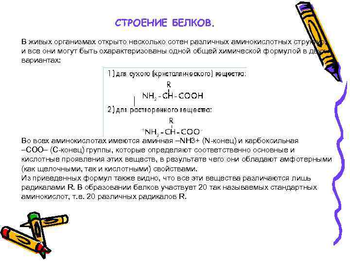 СТРОЕНИЕ БЕЛКОВ. В живых организмах открыто несколько сотен различных аминокислотных структур, и все они