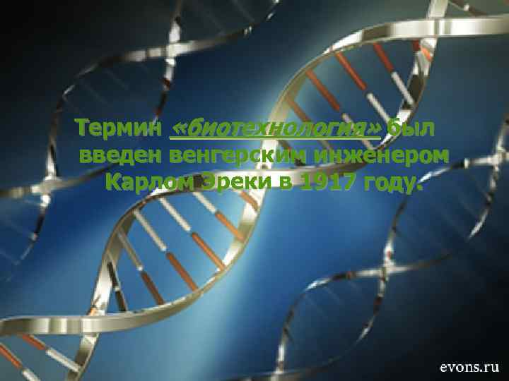 Термин «биотехнология» был введен венгерским инженером Карлом Эреки в 1917 году. 