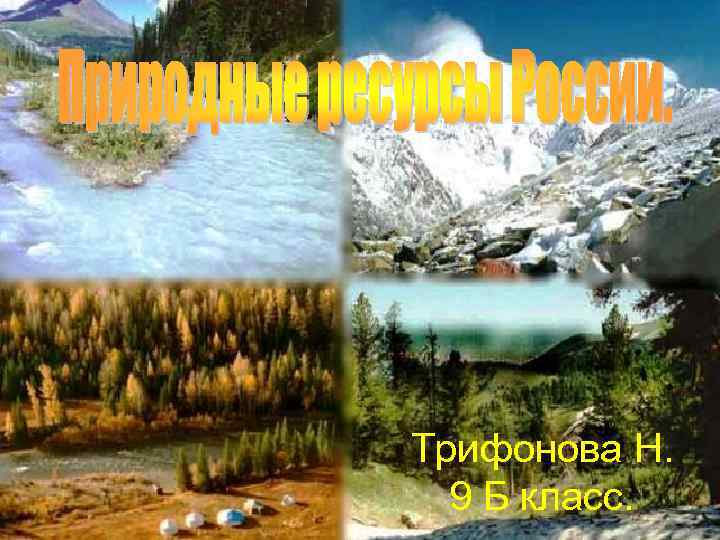 Трифонова Н. 9 Б класс. 