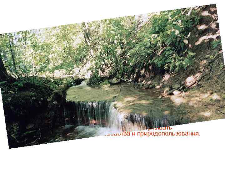  • Подойдя к заключению своей работы, мне хотелось бы сказать, что в любом