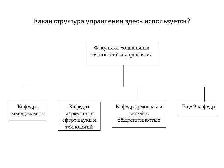 Какая структура управления здесь используется? Факультет социальных технологий и управления Кафедра менеджмента Кафедра маркетинг