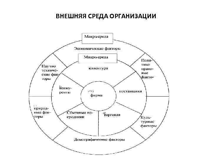 ВНЕШНЯЯ СРЕДА ОРГАНИЗАЦИИ 