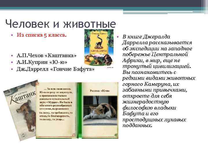 Человек и животные • Из списка 5 класса. • А. П. Чехов «Каштанка» •