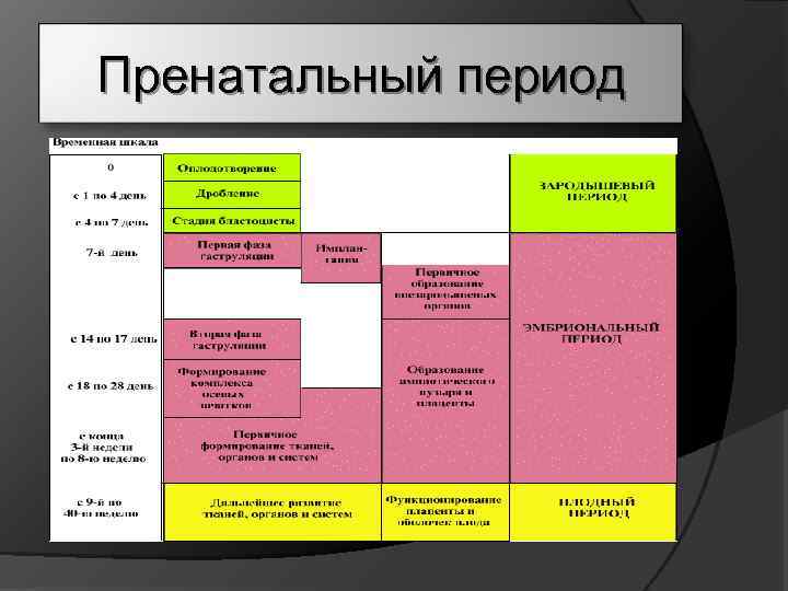Пренатальный период 