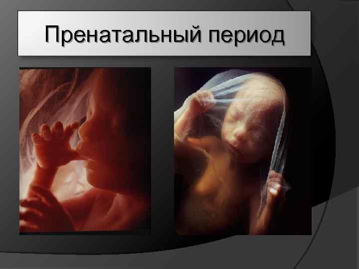 Пренатальный период 