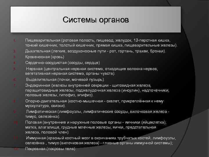 Системы органов 1. 2. 3. 4. 5. 6. 7. 8. 9. 10. 11. 12.