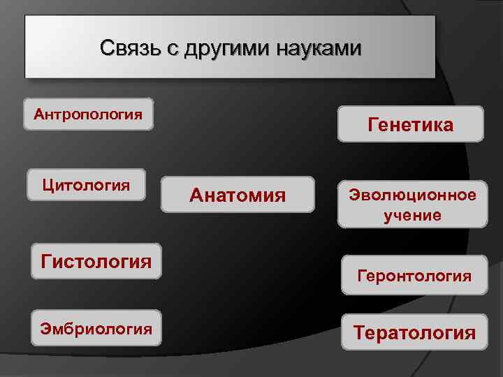 Связь с другими науками Антропология Цитология Гистология Эмбриология Генетика Анатомия Эволюционное учение Геронтология Тератология