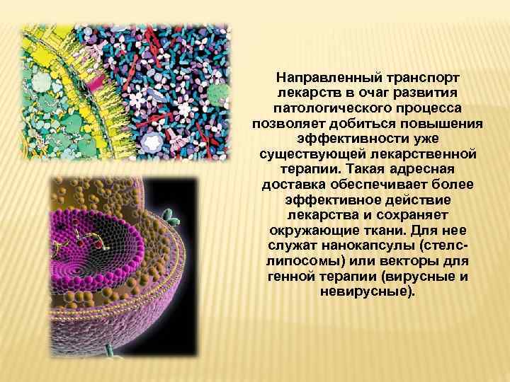 Направленный транспорт лекарств в очаг развития патологического процесса позволяет добиться повышения эффективности уже существующей