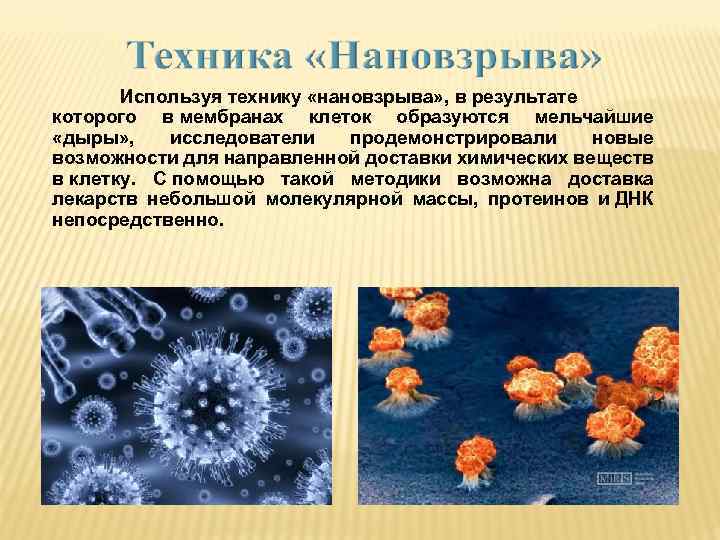 Используя технику «нановзрыва» , в результате которого в мембранах клеток образуются мельчайшие «дыры» ,