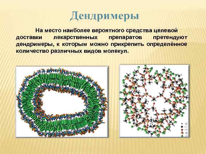 На место наиболее вероятного средства целевой доставки лекарственных препаратов претендуют дендримеры, к которым можно