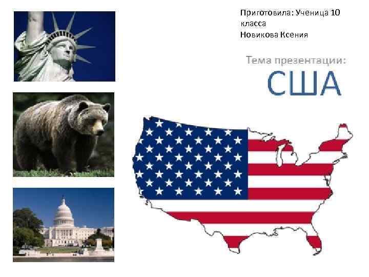 Приготовила: Ученица 10 класса Новикова Ксения 