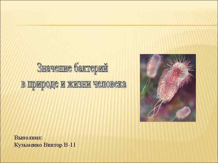 Выполнил: Кузьменко Виктор В-11 