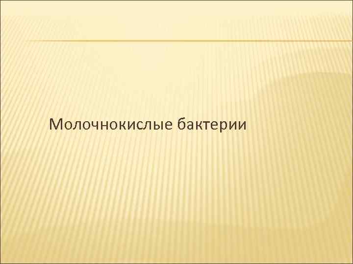 Молочнокислые бактерии 