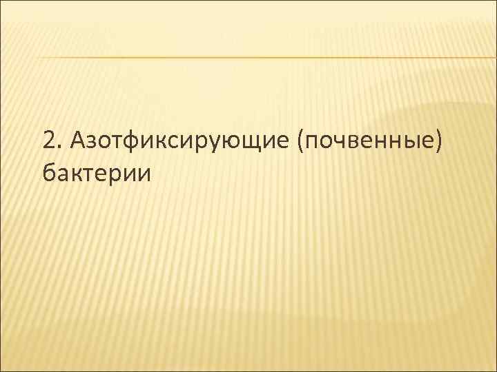 2. Азотфиксирующие (почвенные) бактерии 