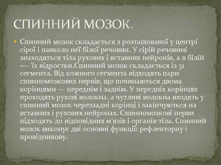 СПИННИЙ МОЗОК. Спинний мозок складається з розташованої у центрі сірої і навколо неї білої