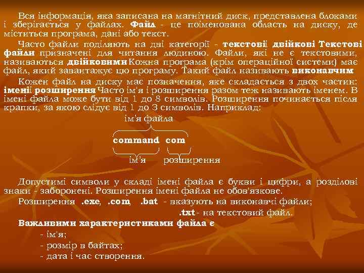Вся інформація, яка записана на магнітний диск, представлена блоками і зберігається у файлах. Файл