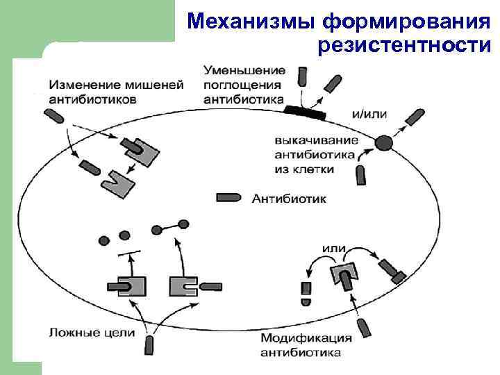 Механизмы формирования резистентности 