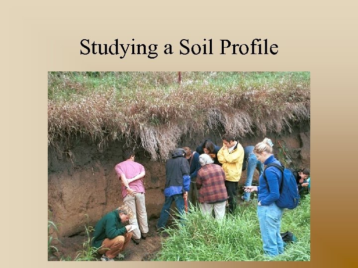 Studying a Soil Profile 