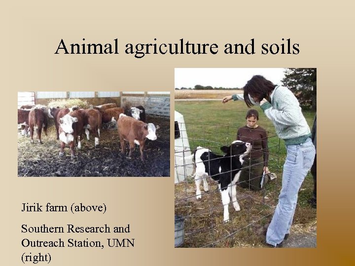 Animal agriculture and soils Jirik farm (above) Southern Research and Outreach Station, UMN (right)