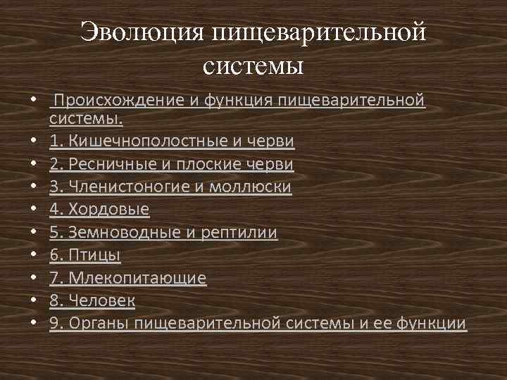 Система генеза